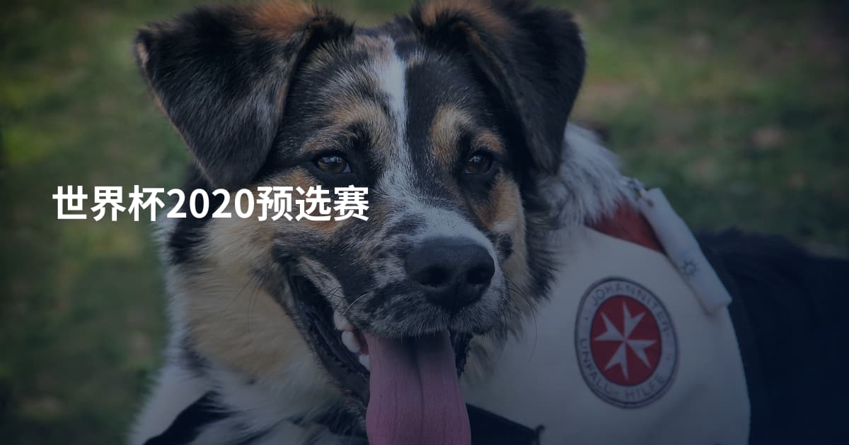 世界杯2020预选赛