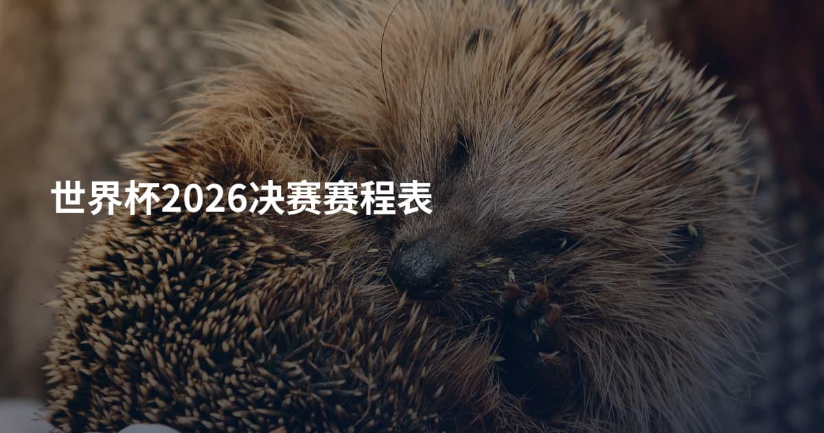 世界杯2026决赛赛程表