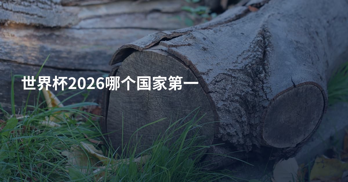 世界杯2026哪个国家第一