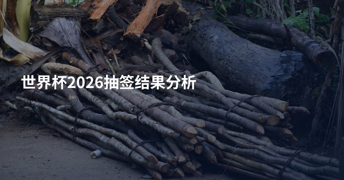 世界杯2026抽签结果分析