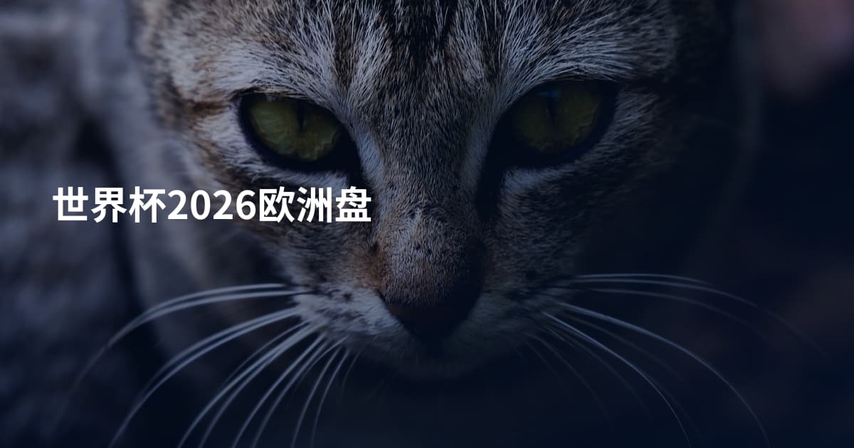 世界杯2026欧洲盘