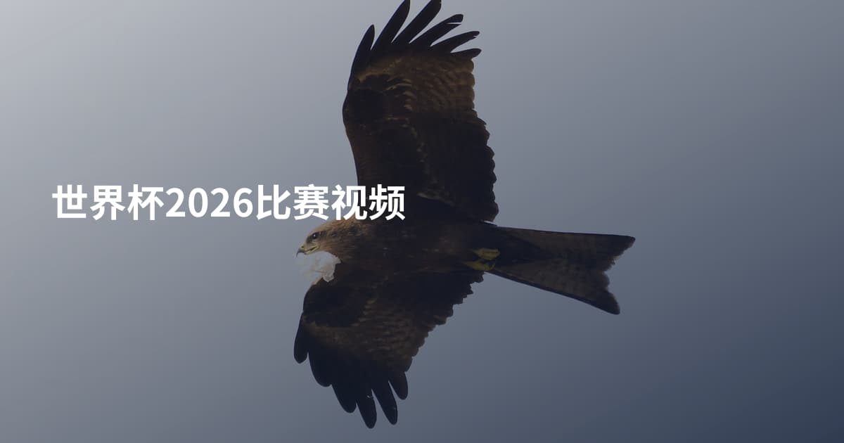 世界杯2026比赛视频