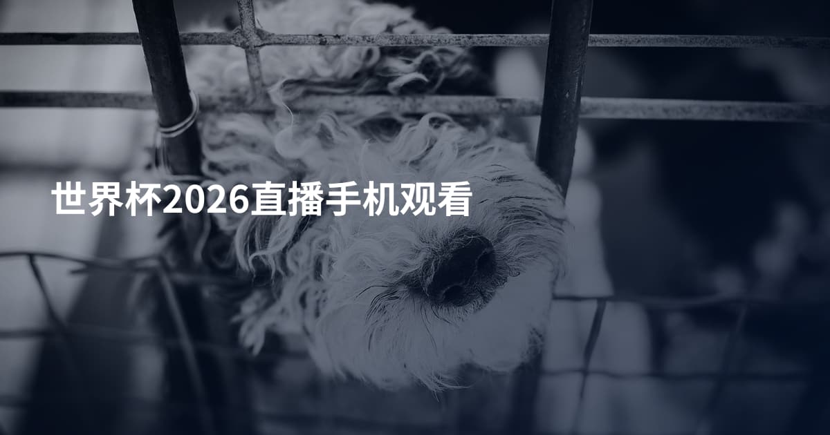 世界杯2026直播手机观看