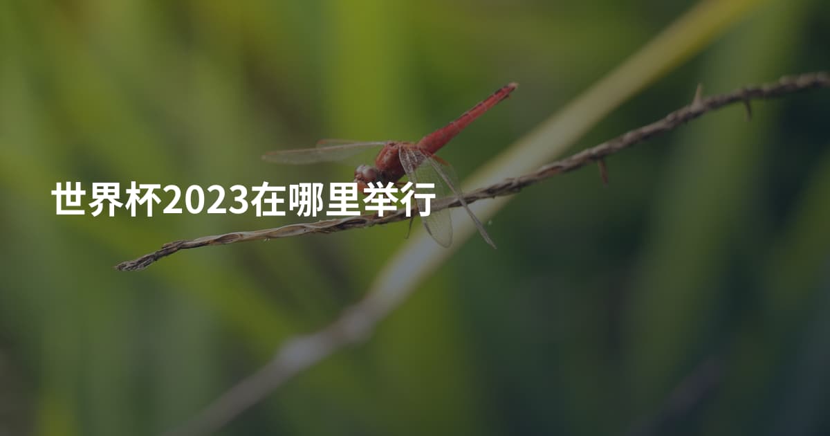 世界杯2023在哪里举行