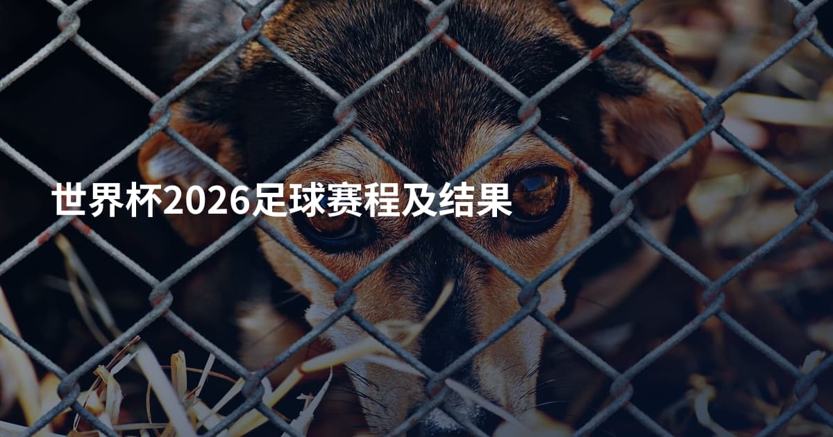 世界杯2026足球赛程及结果