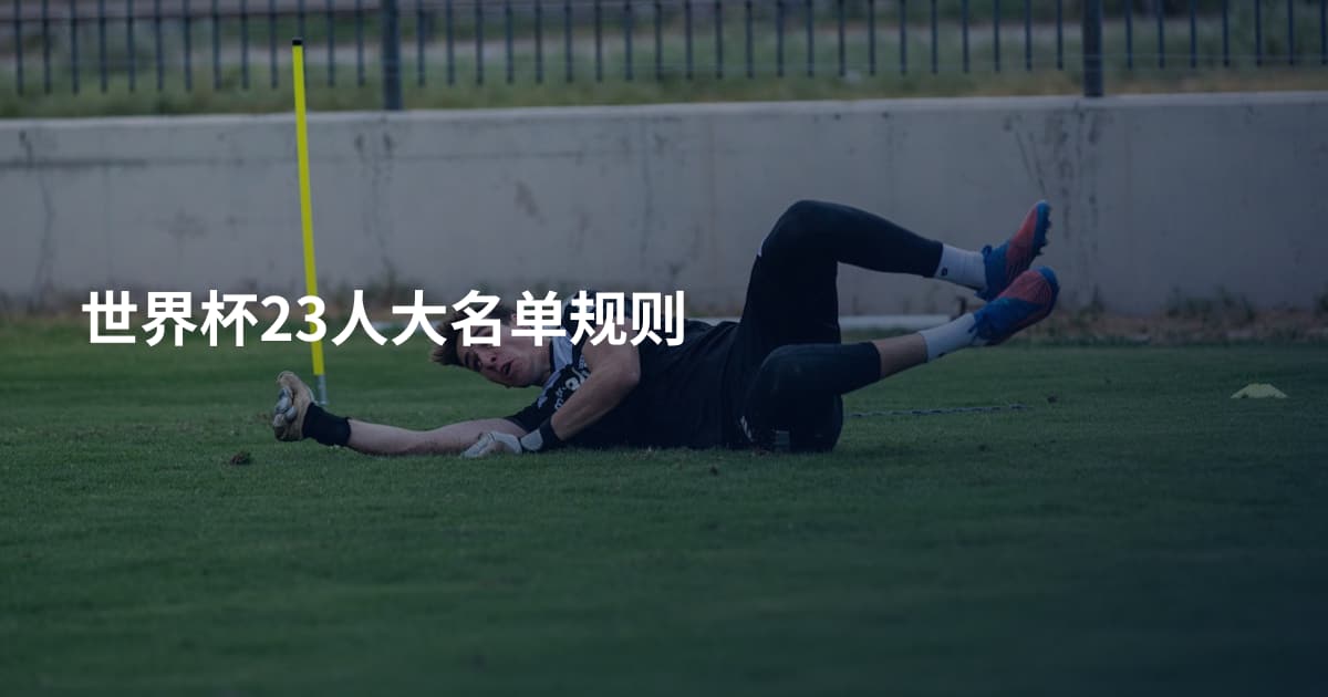 世界杯23人大名单规则