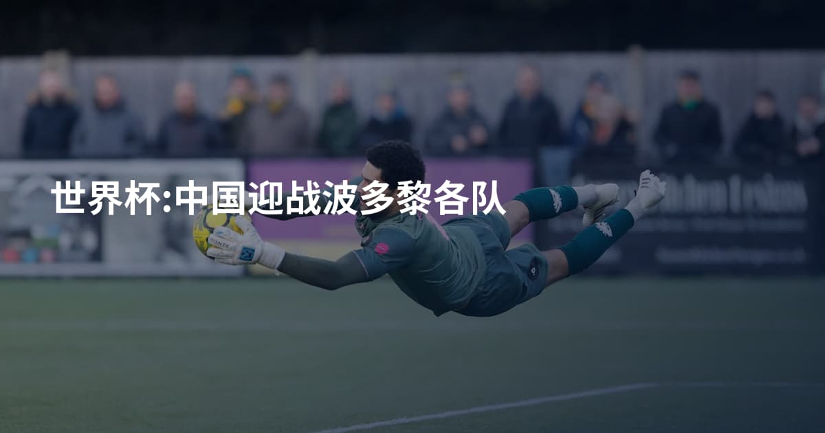 世界杯:中国迎战波多黎各队
