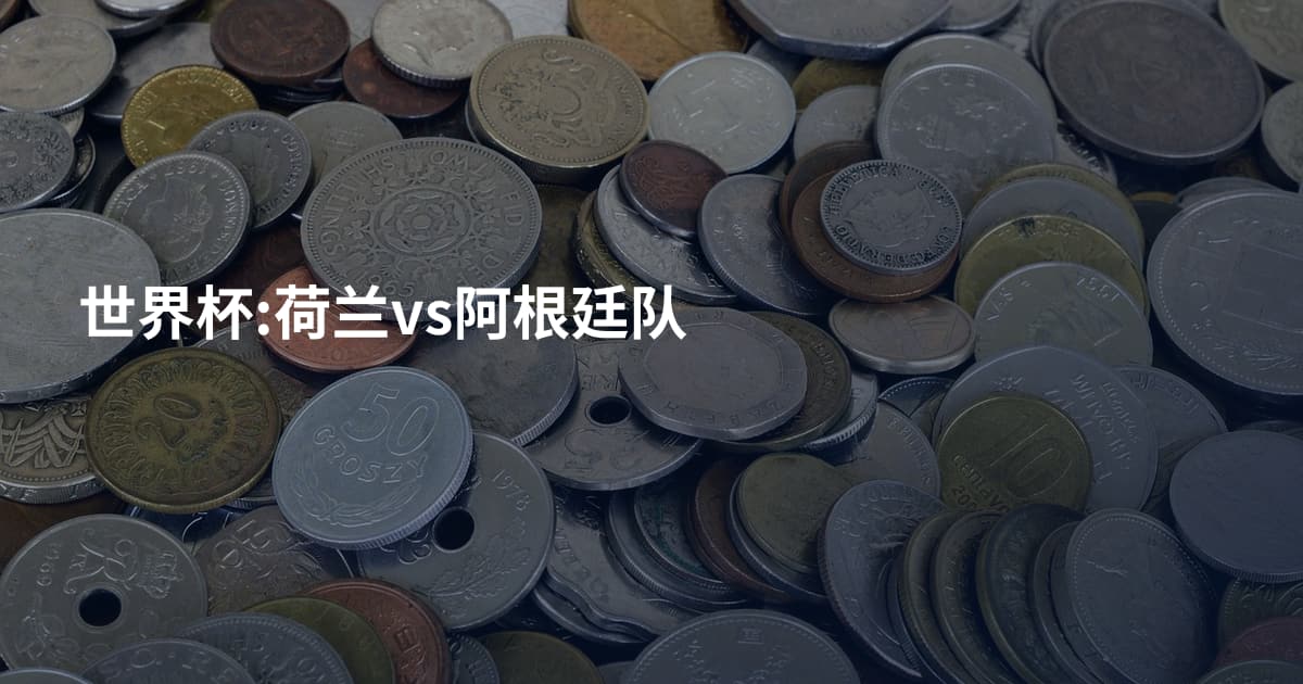 世界杯:荷兰vs阿根廷队