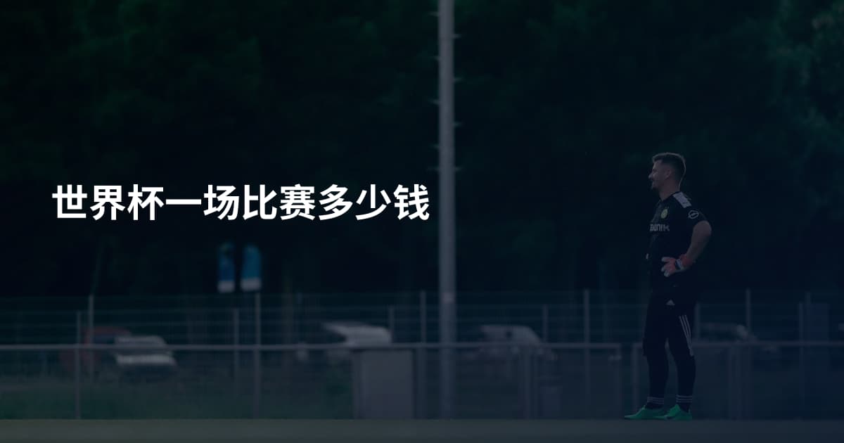世界杯一场比赛多少钱