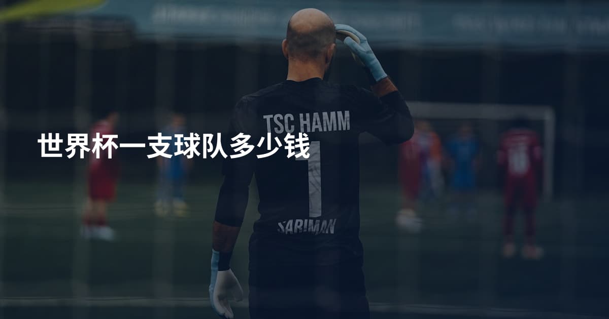世界杯一支球队多少钱