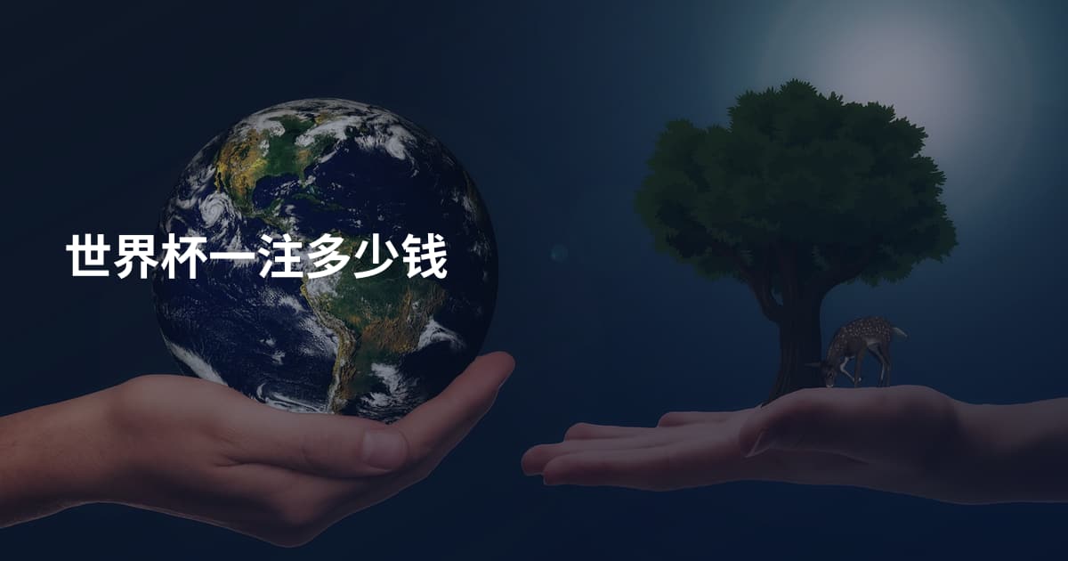 世界杯一注多少钱