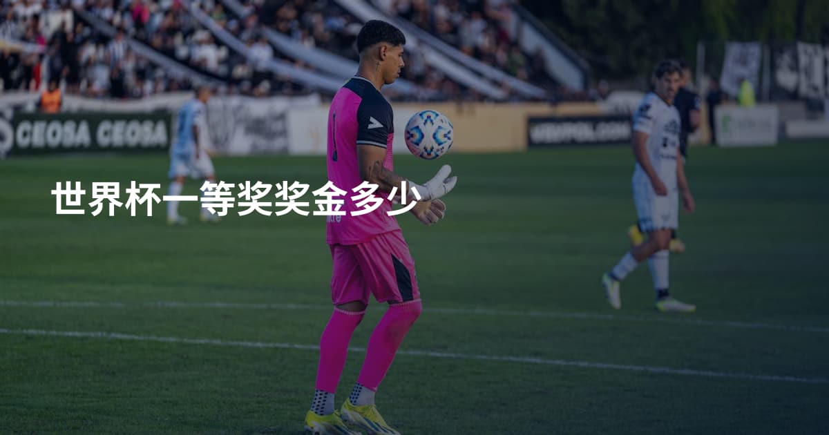 世界杯一等奖奖金多少