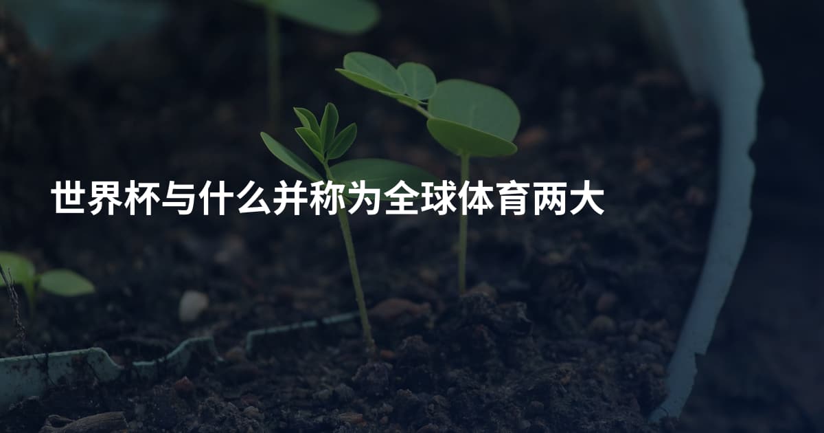 世界杯与什么并称为全球体育两大