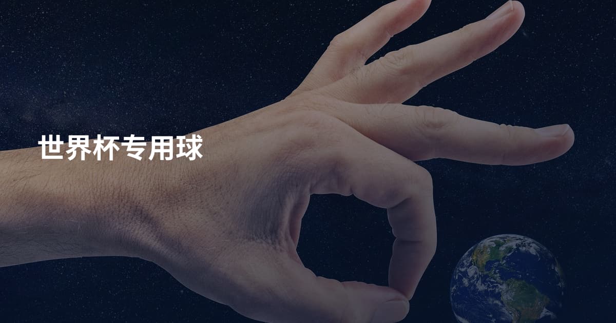 世界杯专用球