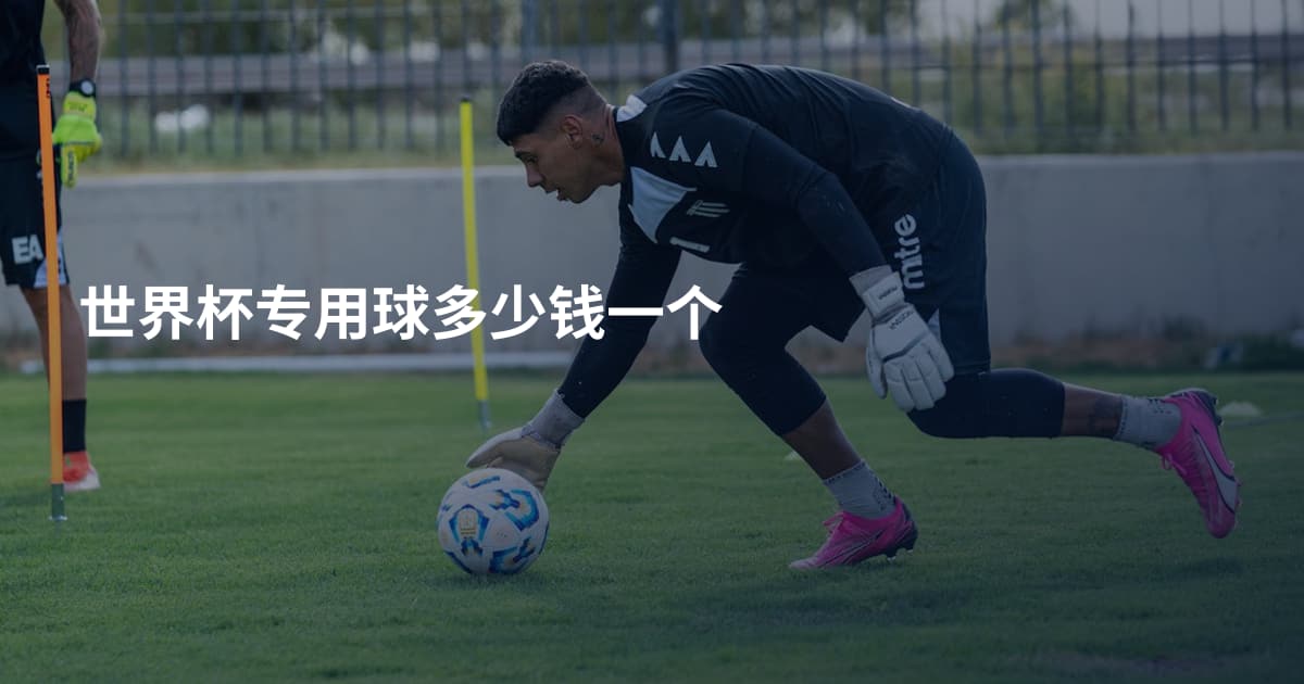 世界杯专用球多少钱一个