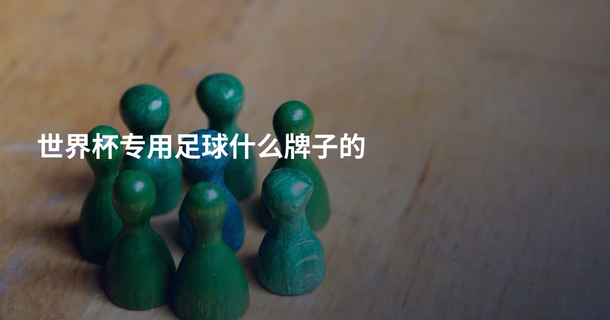 世界杯专用足球什么牌子的