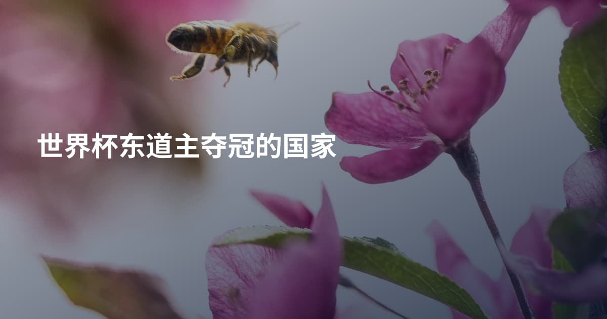 世界杯东道主夺冠的国家