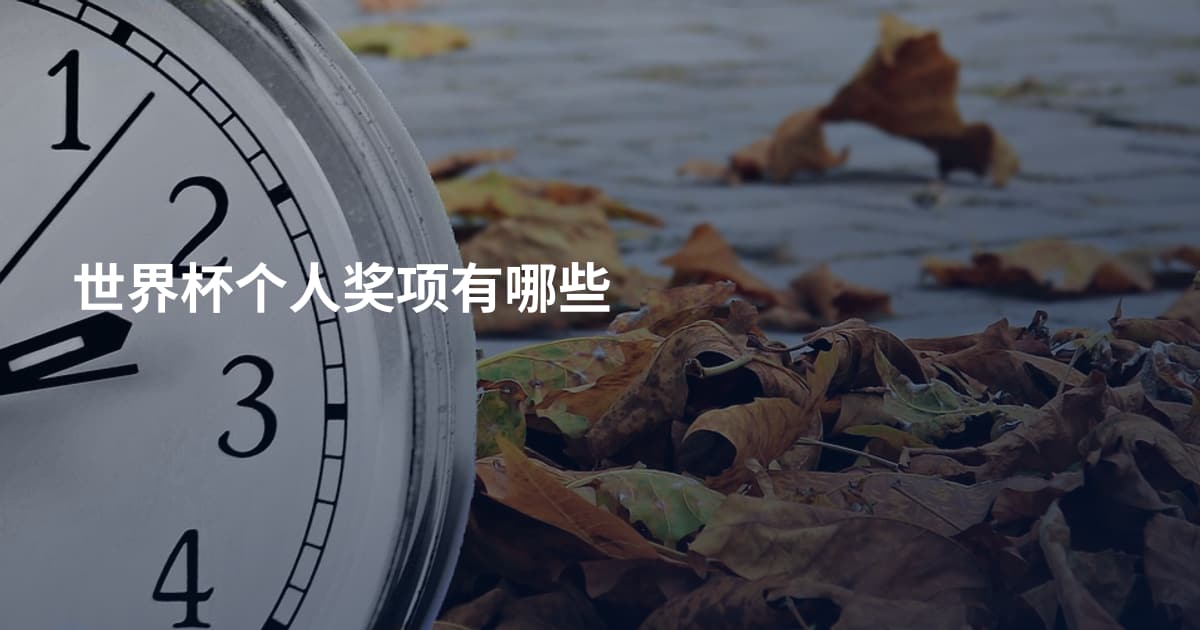 世界杯个人奖项有哪些