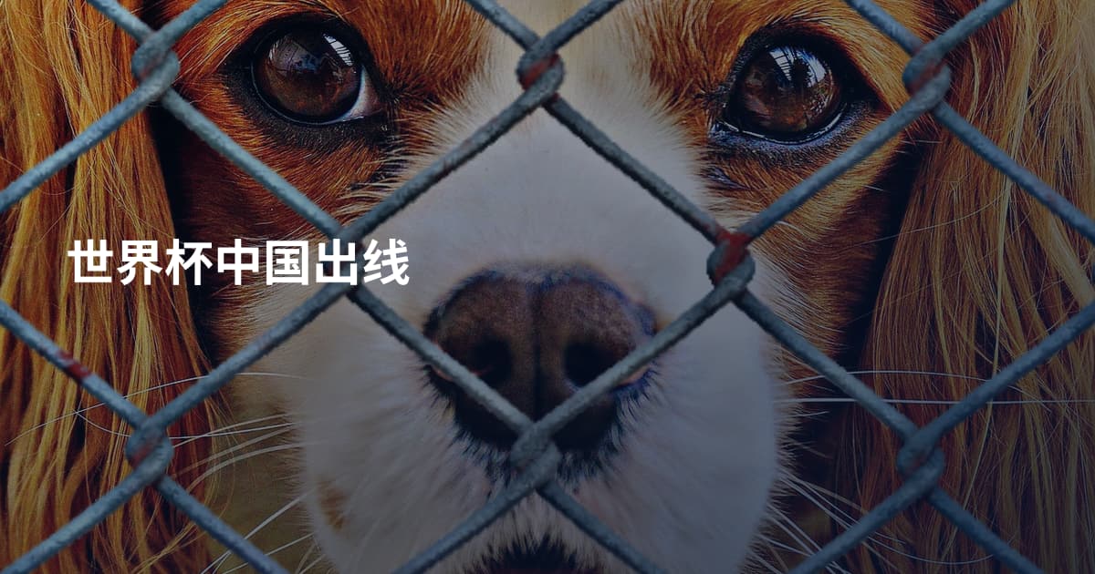 世界杯中国出线