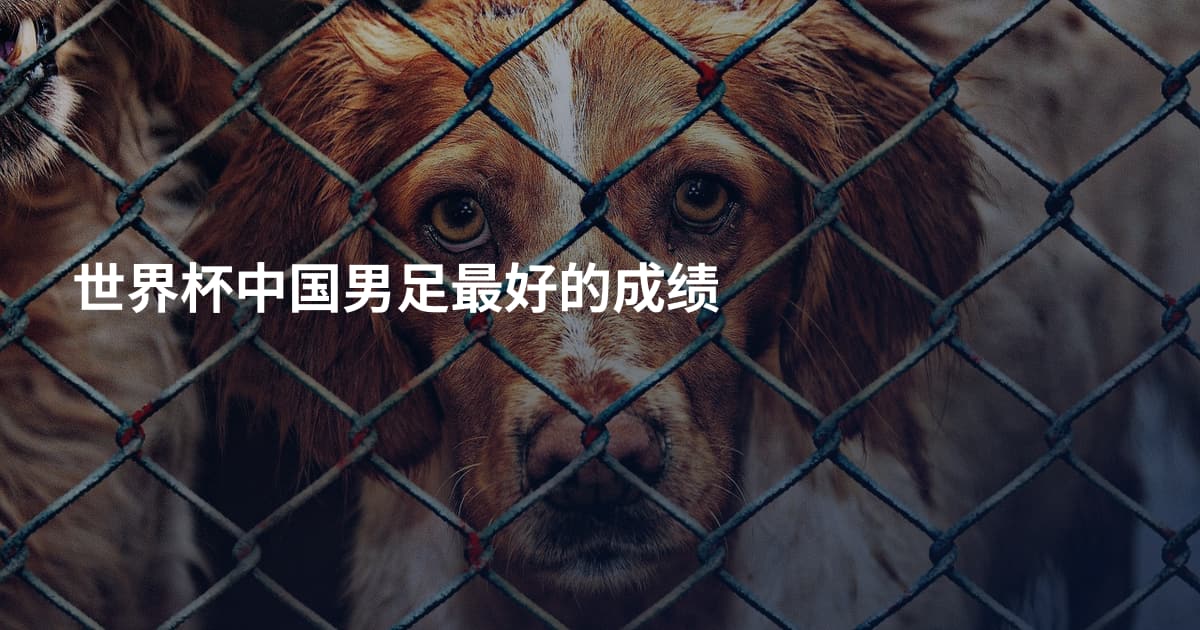 世界杯中国男足最好的成绩
