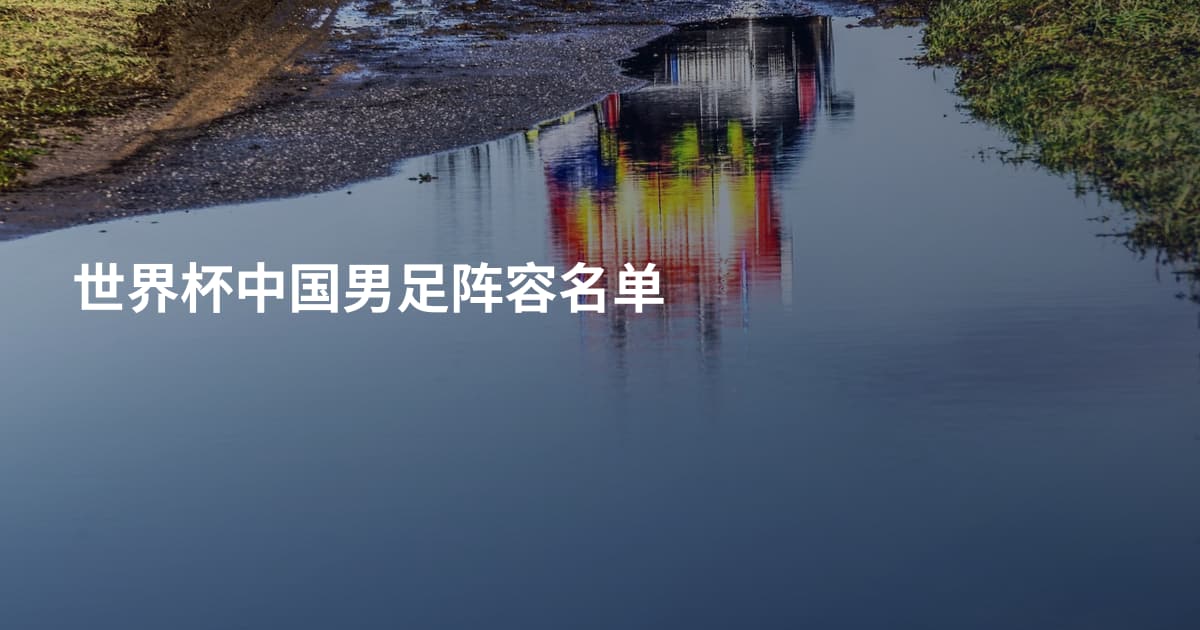 世界杯中国男足阵容名单
