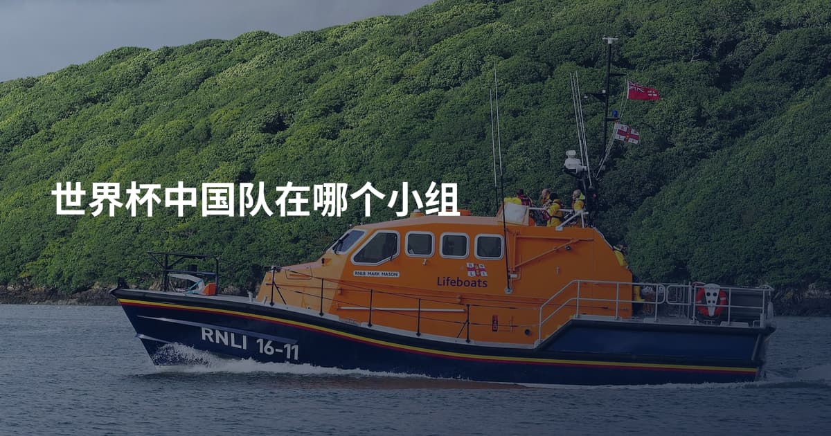 世界杯中国队在哪个小组
