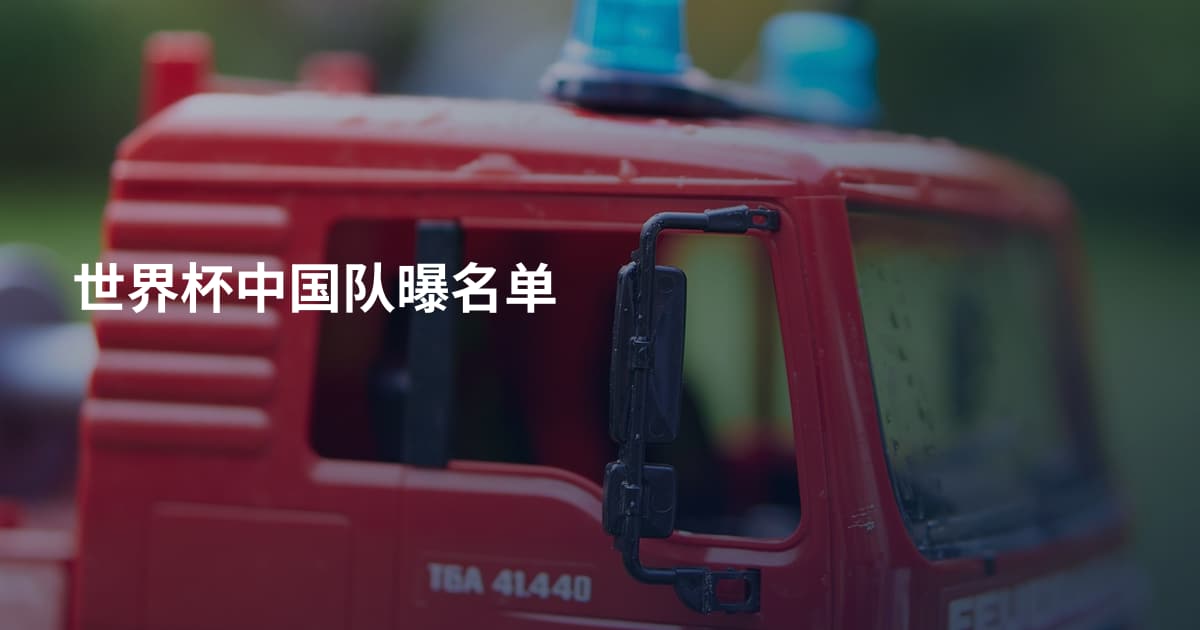世界杯中国队曝名单