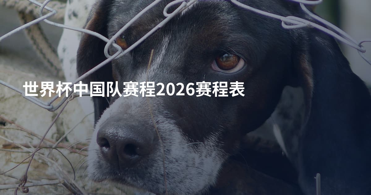 世界杯中国队赛程2026赛程表
