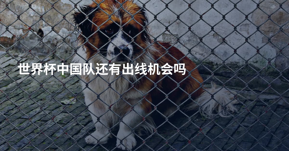 世界杯中国队还有出线机会吗