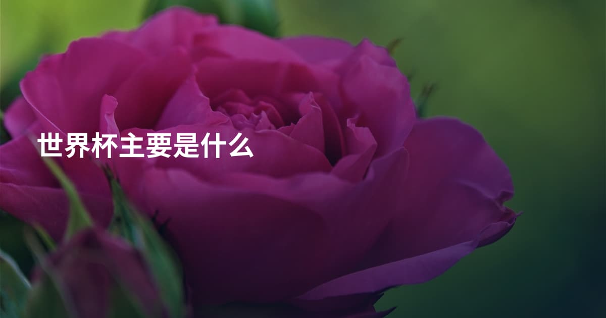 世界杯主要是什么