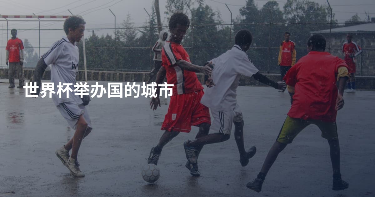 世界杯举办国的城市