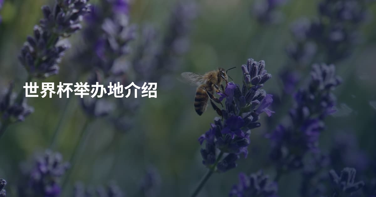 世界杯举办地介绍