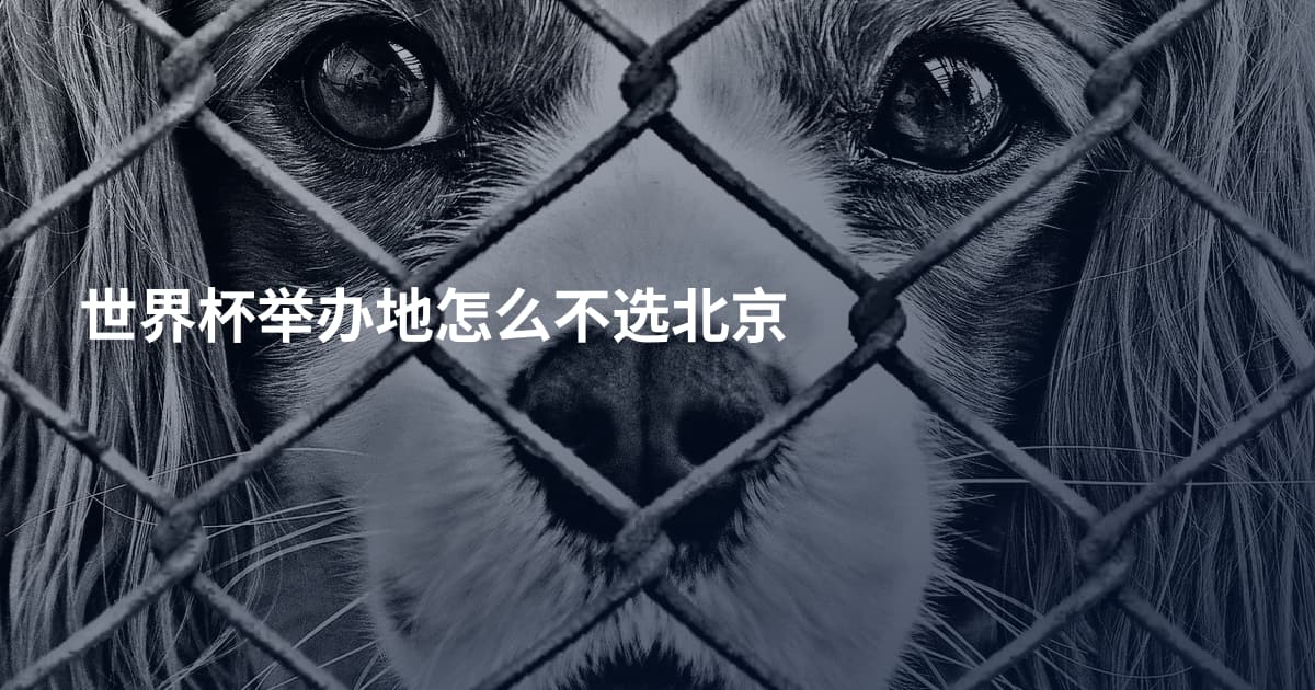 世界杯举办地怎么不选北京