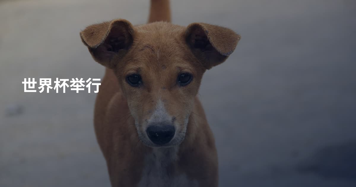 世界杯举行