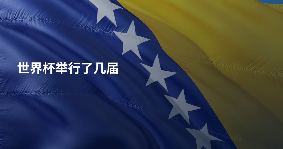 世界杯举行了几届