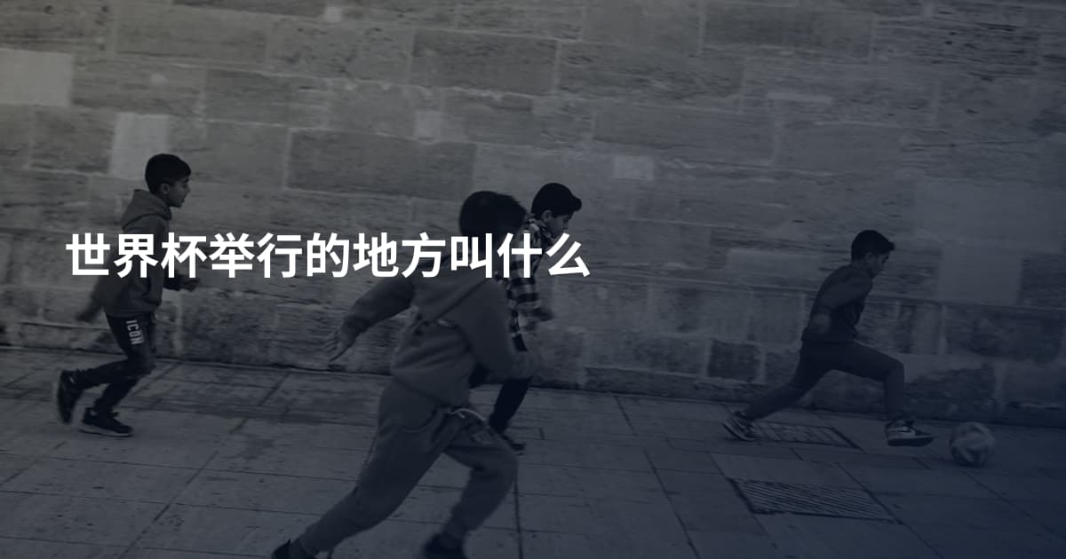 世界杯举行的地方叫什么