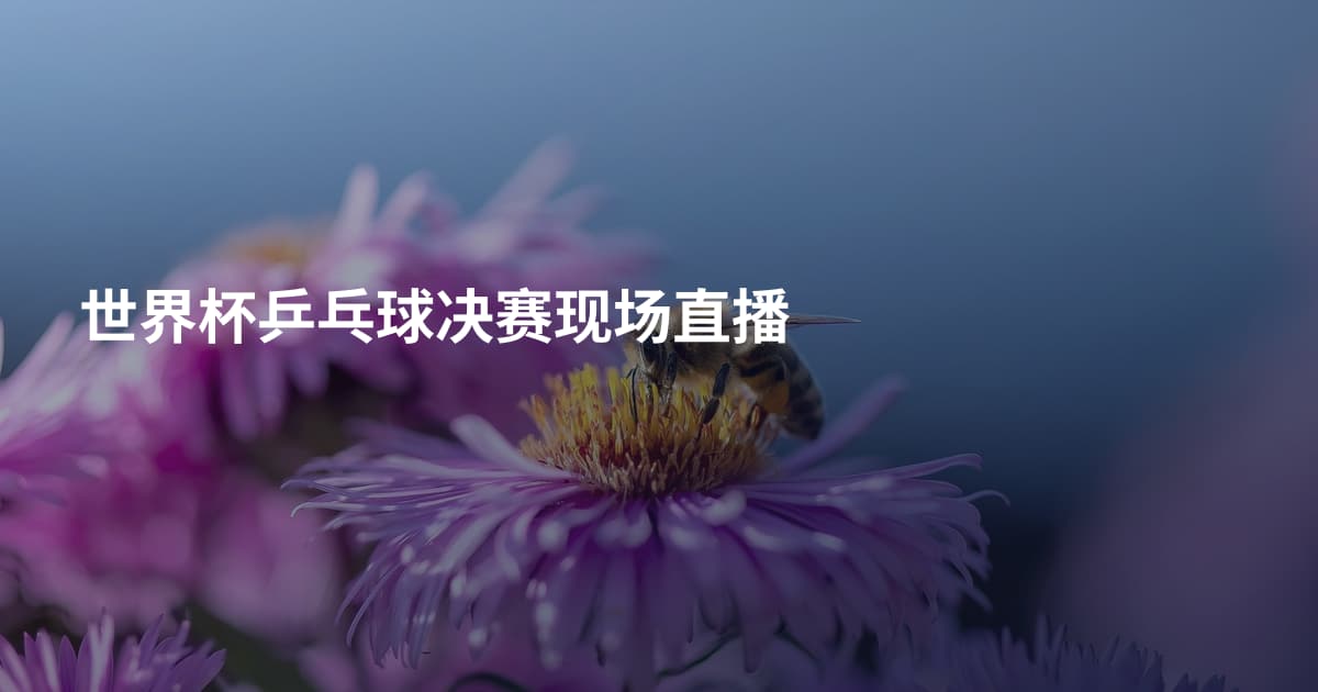 世界杯乒乓球决赛现场直播
