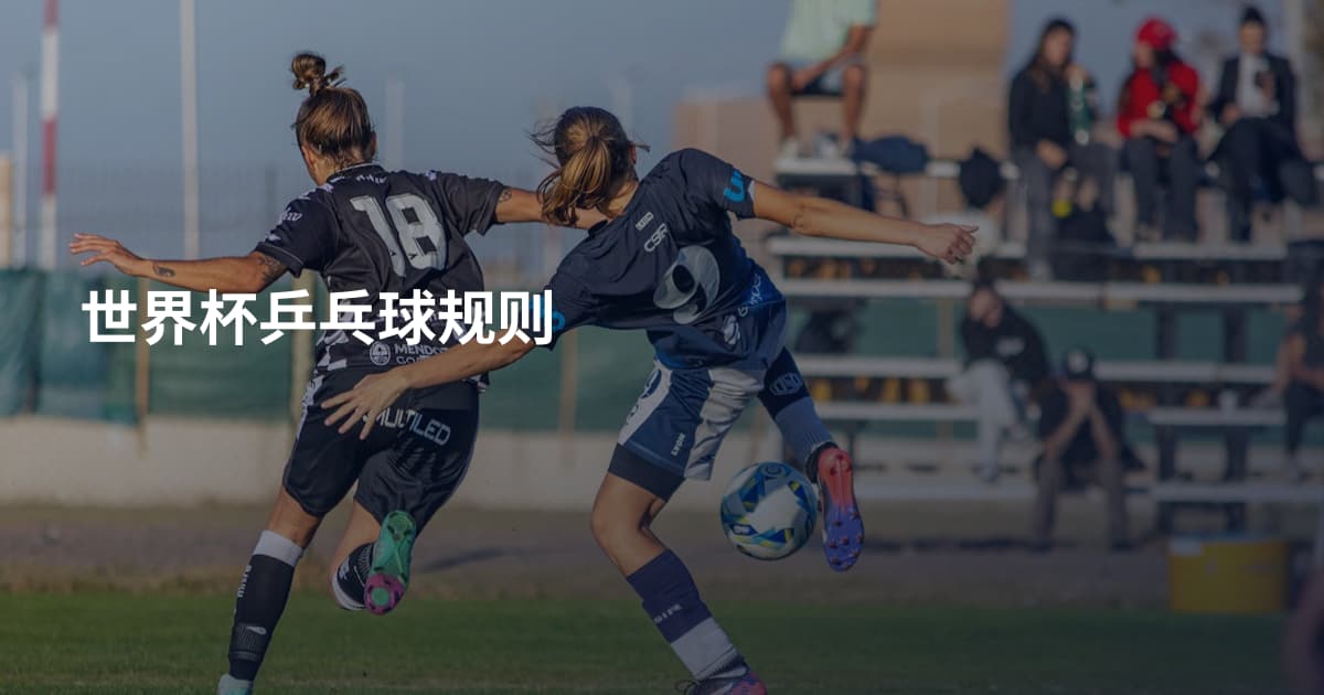 世界杯乒乓球规则