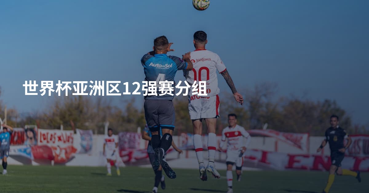 世界杯亚洲区12强赛分组