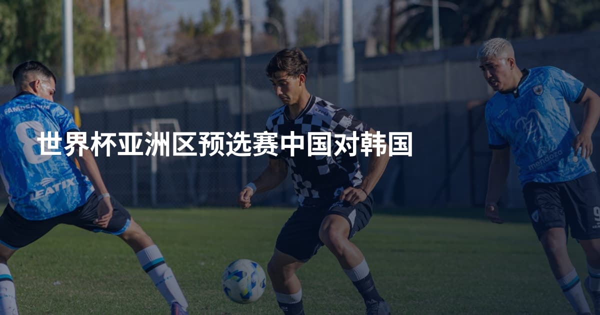 世界杯亚洲区预选赛中国对韩国