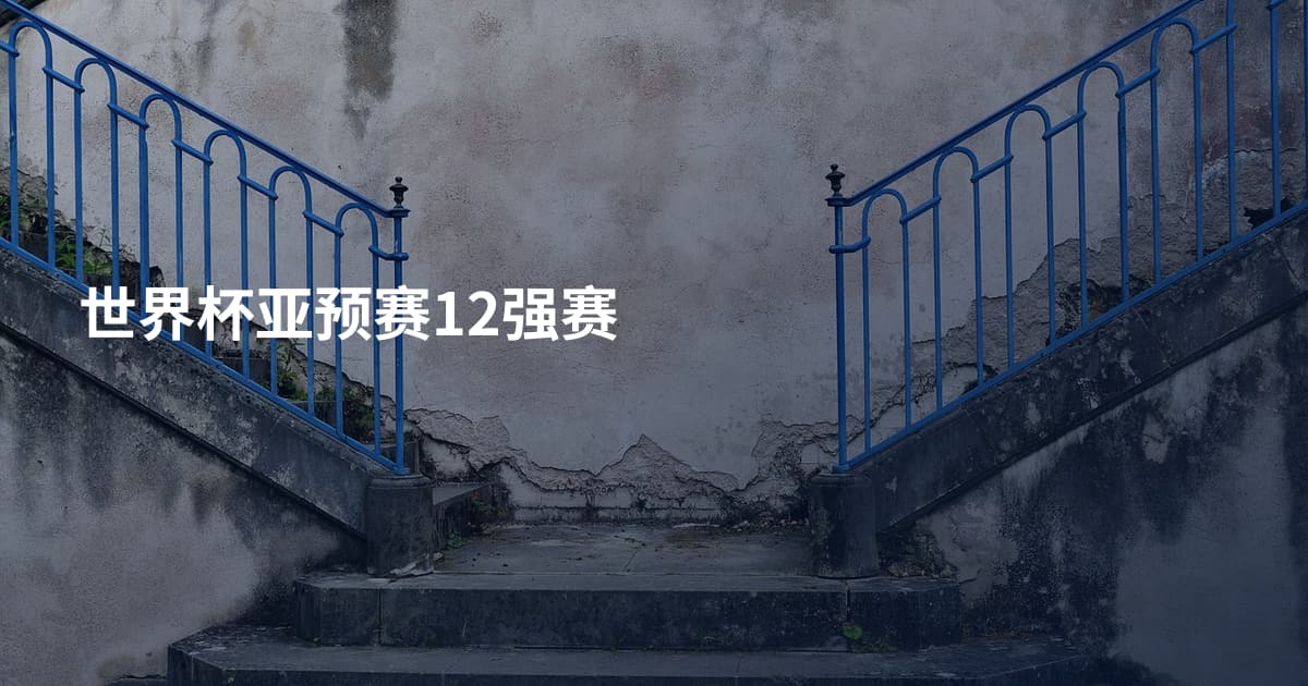 世界杯亚预赛12强赛