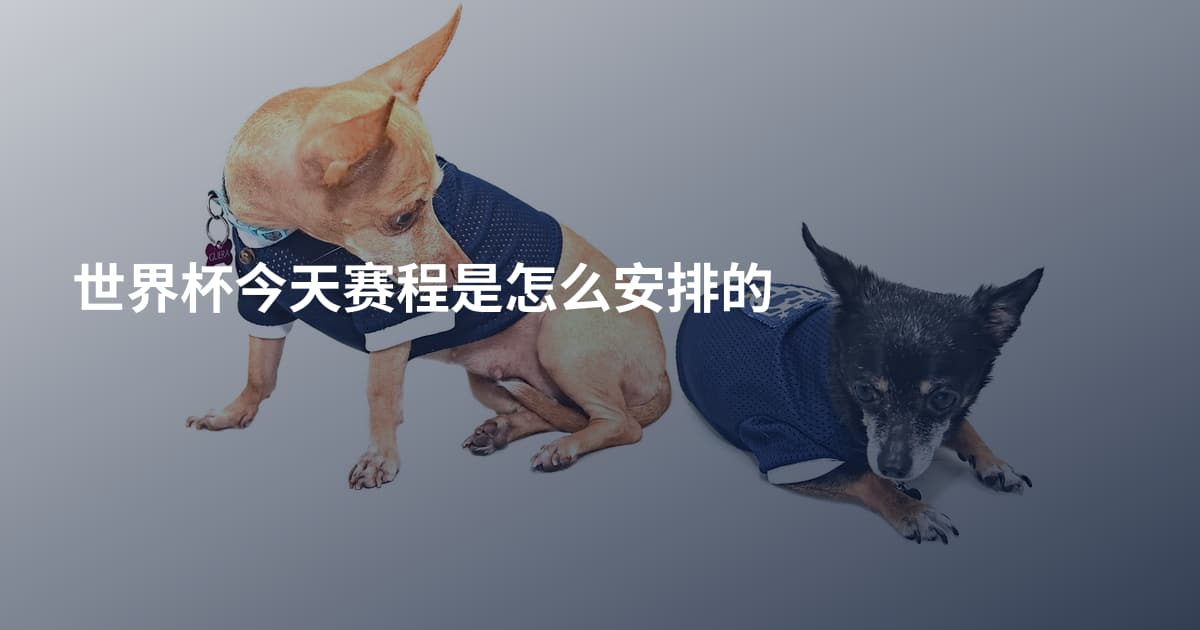 世界杯今天赛程是怎么安排的