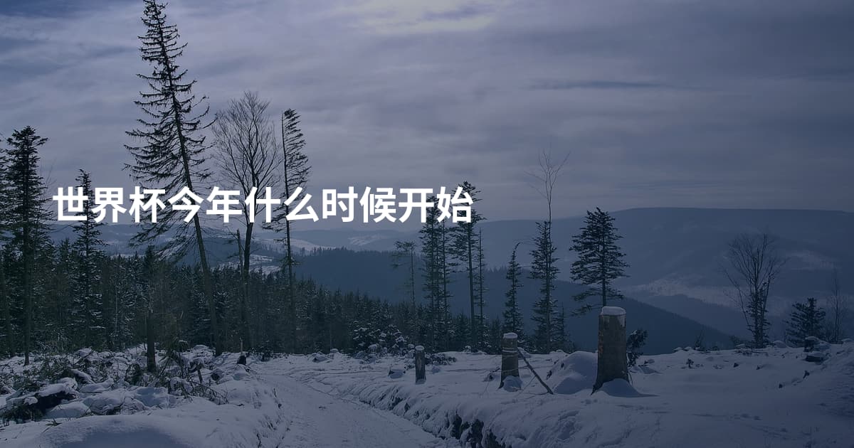 世界杯今年什么时候开始