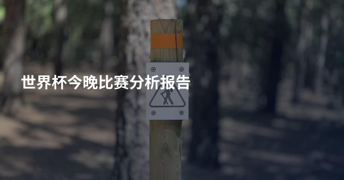 世界杯今晚比赛分析报告
