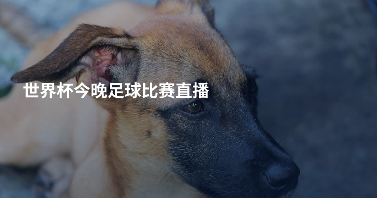 世界杯今晚足球比赛直播