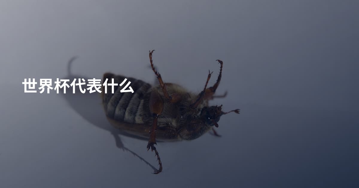 世界杯代表什么