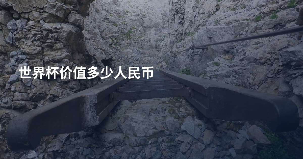 世界杯价值多少人民币