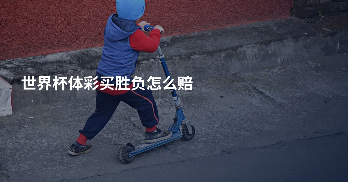 世界杯体彩买胜负怎么赔
