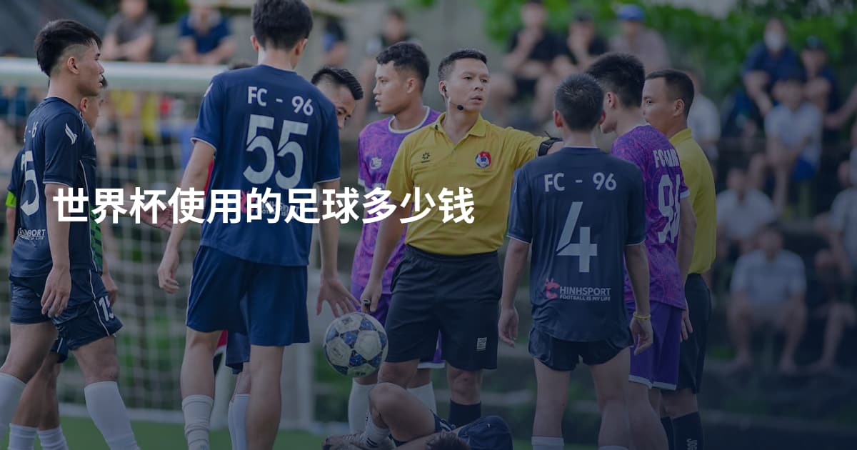 世界杯使用的足球多少钱