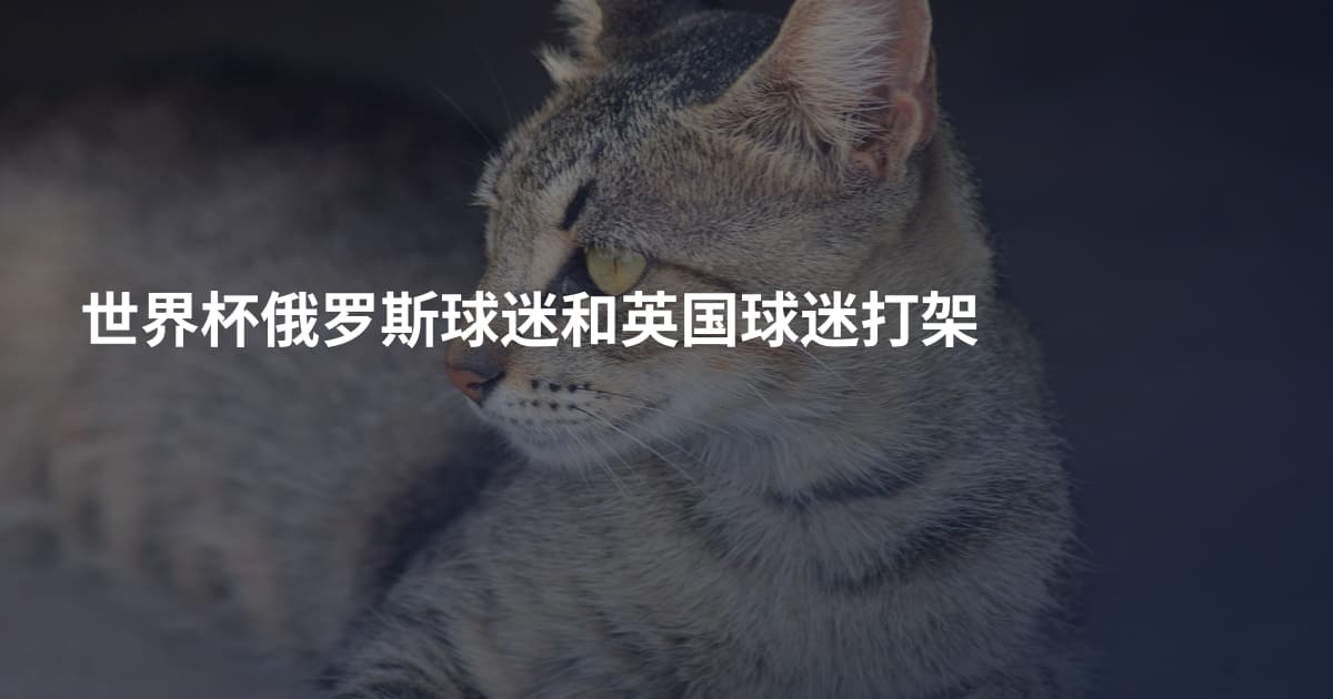 世界杯俄罗斯球迷和英国球迷打架
